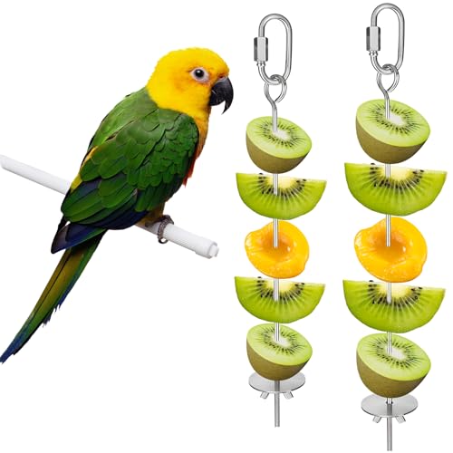 2 Pcs Birds Cage Food Holder with Hook, Budgie Cage Accessories Bird Fruit Feeder Vegetable Stainless Steel Birds Feeder Hanging Foraging Toy for Cages Macaw Parakeet Parrot (2 Sizes 11 and 9.1 inch)