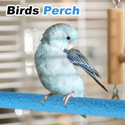 Bird Perch Stand, Colorful Paw Grinding Stick, Wood Rough-surfaced Perch Parrot Stand 30 x 1.8 Cm, (Blue, 2 Pcs), Intended for Home/Animal Parks/Pet Stores - color: Blue, size: 30 x 1.8 cm / 11.81 x 0.71 inch