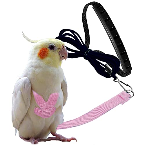 Dnoifne Parrot Harness and Leash, Adjustable Training Design Anti-Bite, Nylon Rope with Cute Wing for Parrots, Suitable for Alexandrine, Scarlet, Keck, Mini Macaw & Same Size Bird (pink) - color: pink