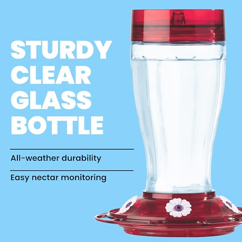 More Birds Bird Health+ Big Gulp Hummingbird Feeder, Glass Hummingbird Feeders for Outdoors, 5 Feeding Stations, 40 Ounces | Built-in Ant Moat, 40 oz Large Capacity, 5 Feeding Stations, BPA-Free Red Base and Top