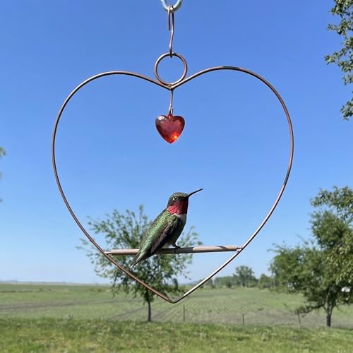 Tweet Heart Hummingbird Swing - Copper - Wooden Dowel | Decorative Jewel Heart - Hummingbirds Guard Their Feeder - Copper Finish Frame - color: Copper