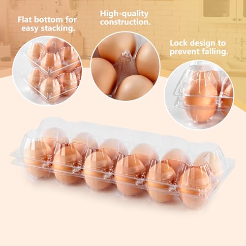 60PCS Egg Cartons 12 Count Clear Egg Cartons Cheap Bulk for Large Eggs | 1 Dozen Blank Chicken Egg Tray Holders for Family, Chicken Farm, Business Market Display - size: 60Pack-2x6 Grids