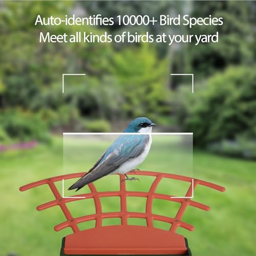 Smart Bird Feeder with Camera Solar Powered, AI Auto Capture Bird Videos & Motion Detection, Bird Watching Camera Notify in Time, Wireless Camera Ideal Present for Bird Lover (Olive Green) - color: Green, size: Basic