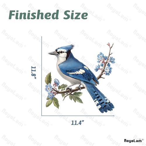 Blue Jay On A Branch Bird Wall Decal Animal Wall Sticker | Removable, waterproof, vinyl peel and stick wall art for nursery, baby room, classroom, preschool, living room, and playroom