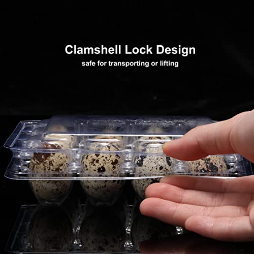 60 Pcs Quail Egg Cartons, Cheap Bulk Plastic Square Dozen Egg Carton | Classical 3x4 Style Holds Up to Twelve 12 Count Small Quail Pigeon Eggs, Boxes Tray Basket Container for Refrigerator