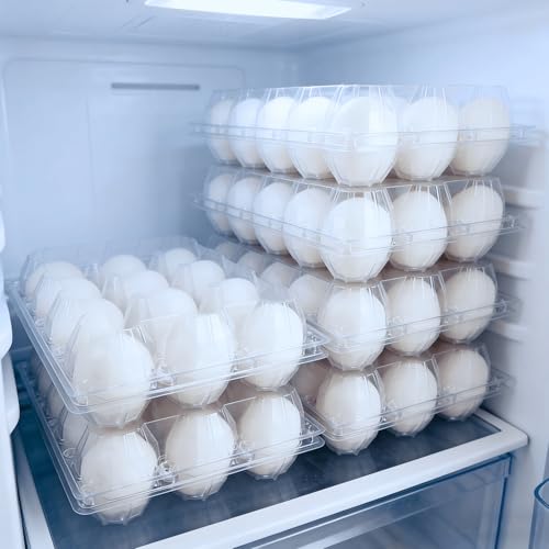 40 Pack Duck Egg Cartons 12 Count Cheap Bulk, Plastic Duck Egg Tray | for Duck & Turkey Eggs, Reusable, Clear, for Family, Small Farm, Backyard Coop & Egg Sellers