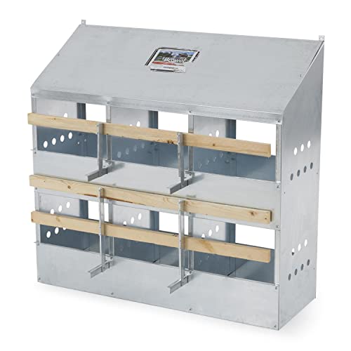 Brower 406B Galvanized Steel 6 Hole, 30 Bird Outdoor Poultry Nest Chicken Brooding Box with Hinged Folding Perches, Silver (2 Pack)