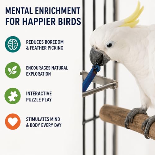 Bird Toys for Large Birds (Blue Spinner) Stainless Steel Bird Toy with Traveling Spinner | Macaw Toys | Durable Puzzle Enrichment Toy for Medium to Large Birds Cockatoos Parrot | Bird Cage Accessories - color: Spinner - Blue Flamed
