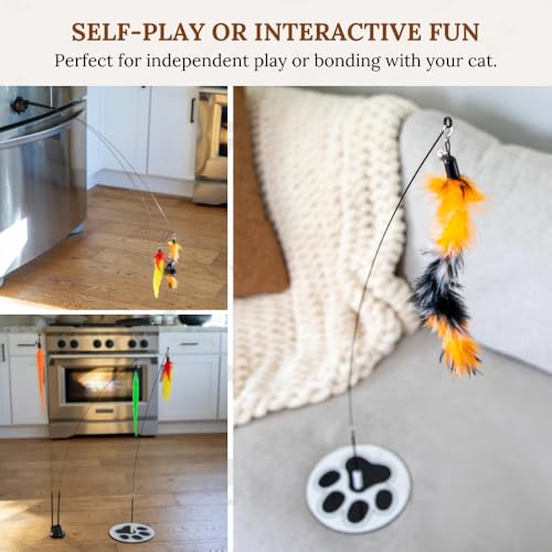 Cat Toys for Indoor Cats, Interactive Cat Toy Wand, Kitten Stuff, 9 Lures | 3 Play Modes! Set The No-topple Base On A Couch, Attach The Dual Suction Base, Or Use The Handheld Fishing Pole Wand. - color: Meow Motion Bundle