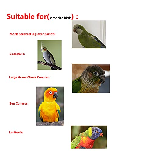 Bird Diaper Quaker Parrot Flight Suits ,Monk Parakeets Clothes Liners | Adjustable Straps,Parrot Diaper Clothes, Bird Training Nappy Suit with Hanger Leash Hole for Sun Conure Senegal Lorikeet