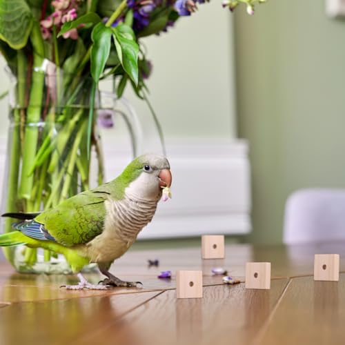 Yardwe Parrot Chewing Blocks 100Pcs Balsa Wood Bird Chew Toy Set with Hanging Holes Bird Toys Making Supplies for Cage Enrichment Beak Trimming DIY Craft for Parakeet Cockatiel Macaw