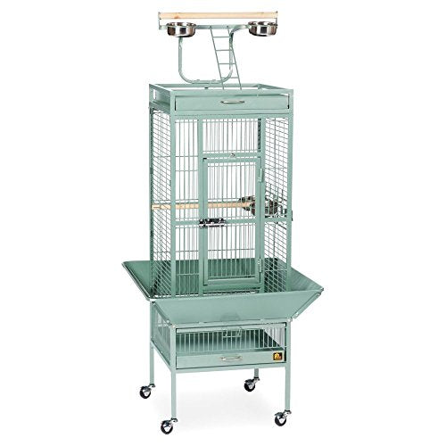 Prevue Pet Products Wrought Iron Select Bird Cage - L, Sage Green | Steel Cage with Rolling Stand and Seed Guards, Durable Design, Ideal for Cockatiels and Medium Birds - color: Sage Green, size: 18.0"L x 18.0"W x 57.0"H
