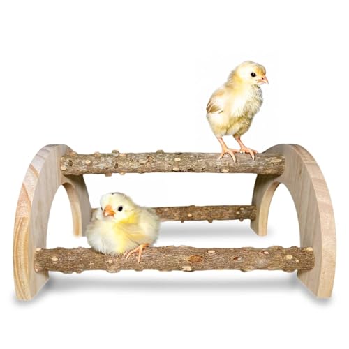 Natural Wood Chick Perch for Brooder, Baby Chicken Roosting Bars(1 Pack) - size: 1 Pack