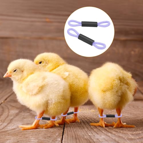 M METERXITY 100-Pack Adjustable Chick Leg Bands, 1.38" x 0.2" Polyester Chicken Leg Brace for Chicks/Ducks/Birds [Light Purple] Poultry Leg Bands - color: Light Purple
