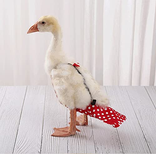 Chicken Duck Goose Diaper Washable Pet Bow Tie Diapers for Hens Roosters Poultry 1 Pack (L, Red) - color: Red, size: L