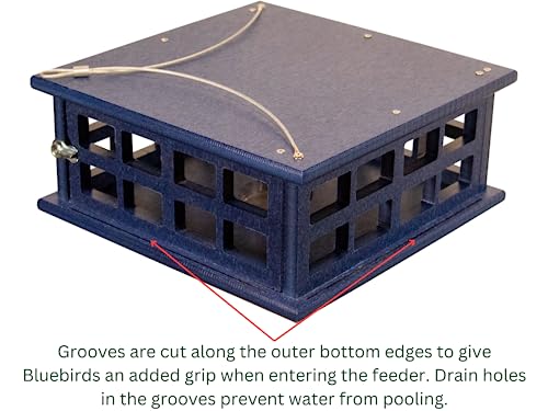 Recycled Poly Lumber Caged Platform Bluebird Feeder (Blue) - color: Blue/Blue