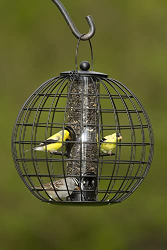 Gardener's Supply Company Globe Cage Bird Feeder | Outdoor Sturdy and Squirrel Proof Hanging Cage | Best for Finches Hummingbirds Nuthatches and Other Small Birds - Holds 3 Cups of Seeds