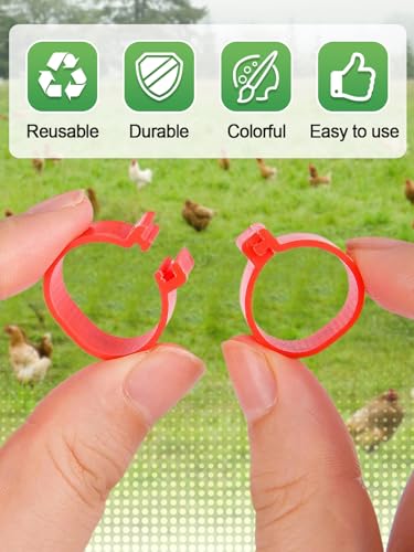 MEWTOGO 0.6in 100 Pcs Numbered Chicken Leg Identification Bands | Openable Reusable Readable 1-100 Poultry Leg Rings for Ducks Goose Gamefowl Turkey, Chicken Coop Accessories - size: 0.6in