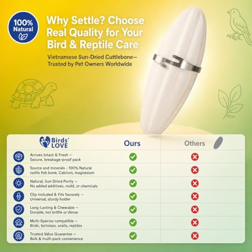Birds LOVE 5.5 - 6″ Cuttlebones for Birds – 100% Natural Sun-Dried Calcium & Beak Conditioning Supplement for Parakeets, Budgies, Cockatiels, Finches & Canaries – 12 Pack with Holder – Made in Vietnam - size: 12 Count (Pack of 1)
