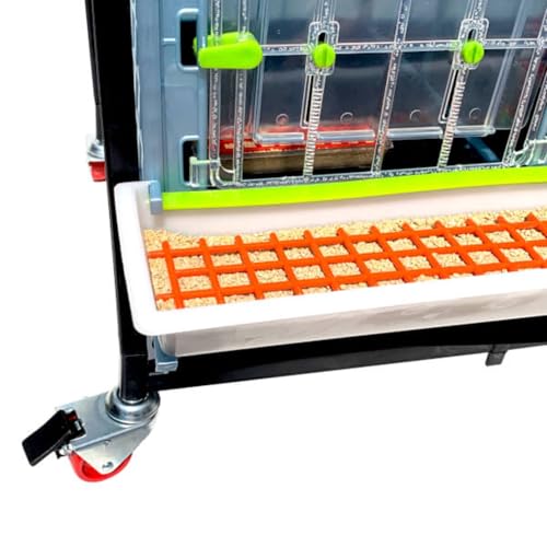 Chicken Brooder Box - 1 Layer - Stackable, Durable ABS Plastic, Automatic Brooder Heater for Chicks, Easy to Clean, Ideal Baby Chick Brooder for Backyard, Farm, Homestead, Cimuka by Hatching Time - style: 3 Section, 1 Layer