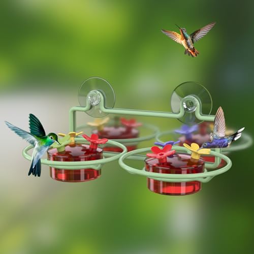 Dreamdrawer 2 Pack Window Hummingbird Feeder, Small Hummingbird Feeder for Outdoors with Strong Suction Cup - Metal Base & 6 Feeding Ports, Easy to Clean and Refill, Green - color: 2PC-Green