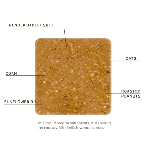Birds Choice Peanut Butter No Melt Suet Cake | Rendered Beef Suet, Oats, Roasted Peanuts, Sunflower Oil, Corn | Premium Wild Bird Food for Year-Round Backyard Feeding | 11 oz (12-Pack) | Rendered Beef Suet with Oats, Roasted Peanuts, Sunflower Oil and Cor