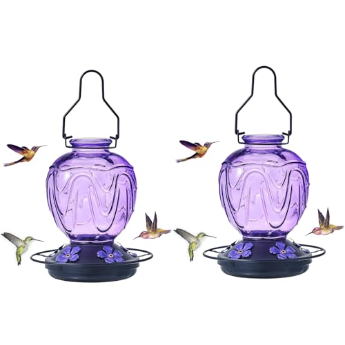 2 Pack Glass Hummingbird Feeder for Outdoors Hanging, 24Ozs Humming Bird Nectar Feeder w/Perch, 5 Flower Feeding Ports, Leak Proof Base and Hook for Outside Garden Backyard Decor, Purple - color: Purple-2