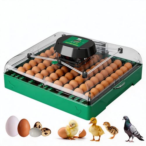 Egg Incubator for Chicken Eggs, Max 72 Egg Incubator with Auto Turner | Large capacity egg hatcher with humidity control, 360° clear view for chicken, duck, quail eggs, farms & classrooms