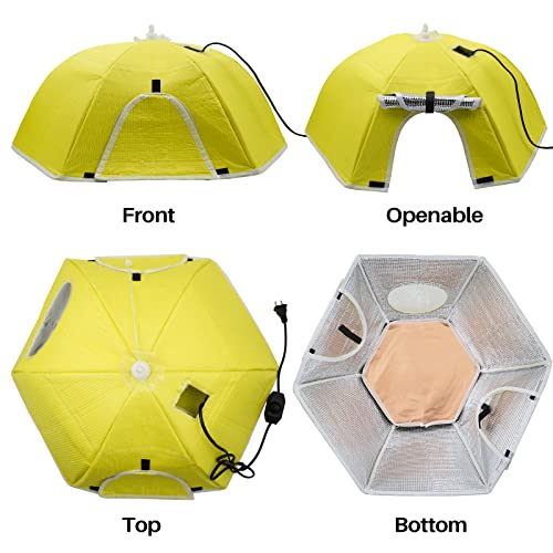 Chicken Brooder Box for Chicks | Chicken Coop Heater Chick Brooder Heating Plate for 10 Newborns Chicks Ducklings Quail Goose Birds Poultry Breeding Box