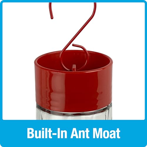 Nature's Way Hanging Glass Hummingbird Feeder for Outdoor Décor, 20 Ounce Capacity Nectar Feeder, Ant Moat, 5 Easy to Clean Flexible Ports, Red - style: 20 Ounce Capacity