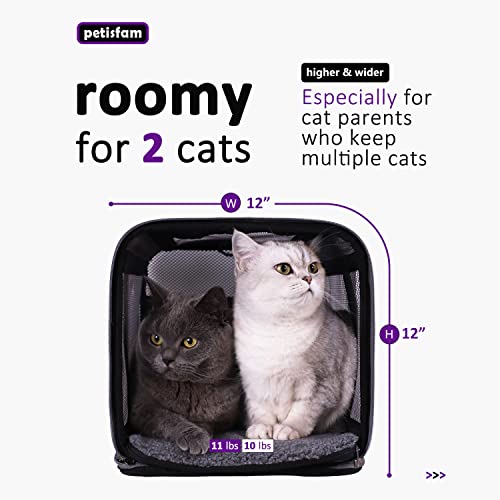 Soft Pet Carrier for Large and Medium Cats, 2 Kitties, Small Dogs. Easy to Get Cat in, Great for Cats that Don't Like Carriers (Black) - color: Black