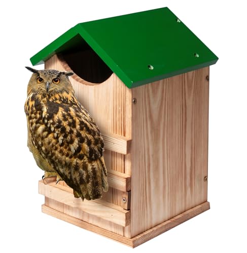 Screech Owl House Owl Box with Bird Stand Design | Nesting Box Wood with Mounting Screws, Cozy House for Lovely Birds, Easy Assembly Required - color: Green