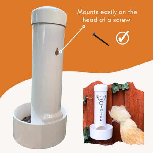 Oyster Shell Feeder for Chickens