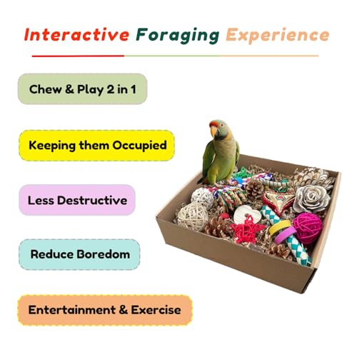 Bird Foraging & Bird Shredding Toys Box,Natural Chewing and Foraging Toys for Cockatiels,Parakeets,Conures,Love Birds & Small to Medium Parrots - size: Large
