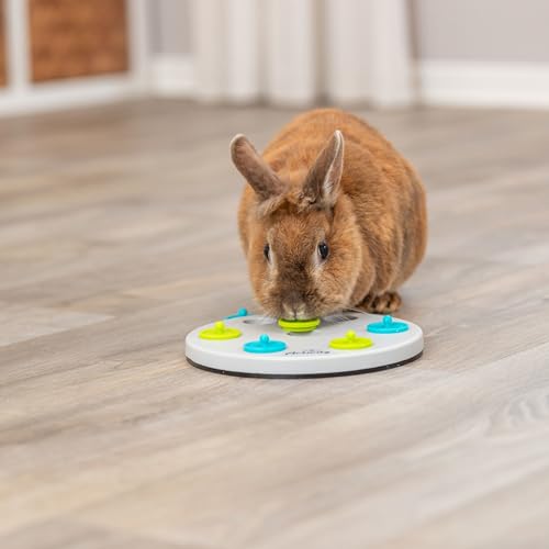 Trixie Rabbit Snack Board, Interactive Toy, Small Animal Puzzle, Mental Stimulation, Rabbit, Ferret, Bunny, Chinchilla