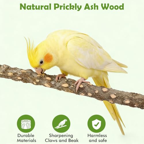 Bird Playground，Natural Wood Bird Perch Stand Parakeet Playground with Swing, Ladder & Feeder Cups，Birds Play Stand for Cockatiel Parakeet Lovebirds Conure - size: 1 layer T2