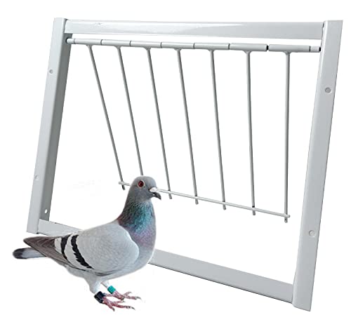 Pigeon Trap Loft Door with Steel Frame, Pigeon Doors Trap Rust Resistant Bird Cage House Door for Racing Pigeons, Pigeons Supplies (12in/ 30cm)