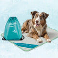 INSPECTOR TAIL Dog Cooling Mat, Indoor & Outdoor, Large Self Cooling Pad | No Freeze Needed, Breathable, Washable, Portable Cooling Mat for Dogs with Travel Bag, Fits Car, Crate, Floor & Bed, 38"x 27" - size: Mint- 38.98" x 27.17