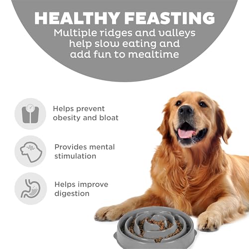 Outward Hound Fun Feeder Slo Bowl – Large 4‑Cup Capacity, Slow Feeding, Medium to Large Dogs, Non‑Slip, Gray, Drop Pattern, 11.75" - color: Gray, size: Large
