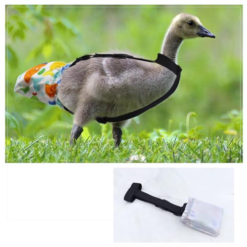 Duckling Diapers for Pet Ducks - 1 to 2 lbs, 3 Weeks to 4 Weeks of Age - Baby Duck & Gosling Diapers