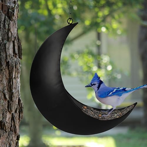 Hanging Moon Bird Feeder – Unique Metal Bird Feeders for Outdoors, Black Rust-Resistant, – Wild Bird Feeder for Bluebirds, Cardinals, Finches, and Backyard Birdwatching (Black) - color: Black
