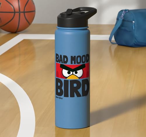 Angry Birds Red Bad Mood Bird Stainless Steel Insulated Water Bottle - color: Light Blue