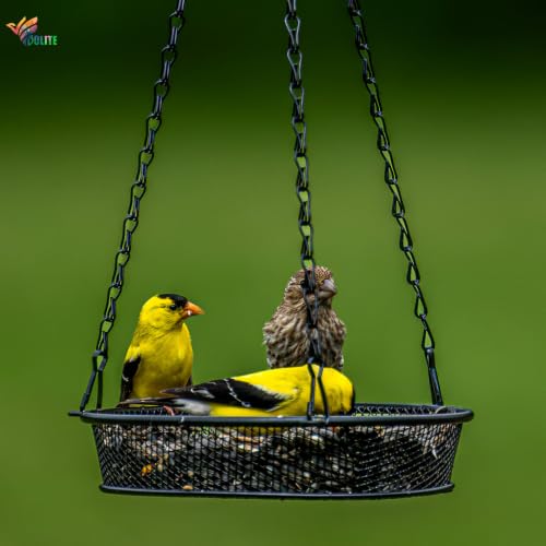 Hanging Bird Feeder, Platform Feeders for Outdoors, Metal Mesh | Black, Rust-Proof, Durable Platform Feeders for Garden Decoration, Great for Attracting Wild Birds, Gift for Bird Lovers