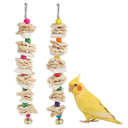 Bird Toys with Cuttlebone, Grinding Stone for Bird, 2 Pcs, B | Prevent Destructive Chewing, Colorful，White - style: Style B