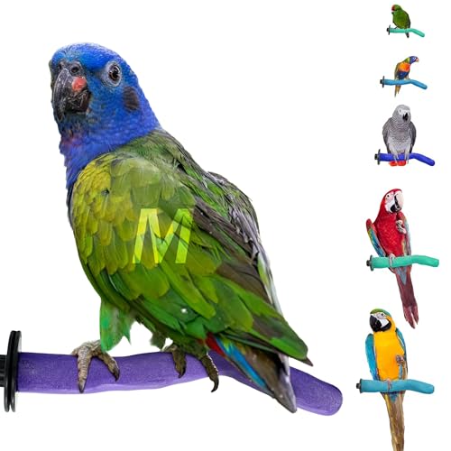 Sweet Feet and Beak Safety Pumice Bird Perch, Medium Pedicure Perch, Purple | Plastic Bird Nail Trimming Perch, Pumice Coated Surface for Healthy Feet and Beak, 9" Lightweight Perch, Available In 5 Sizes - color: Purple, size: Medium 12"