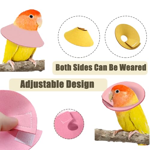 4 Pcs Bird Cone Collar, Pet Parrot Anti-bite Elizabethan Collars, Bird Collars for Feather Plucking for Lovebird Budgerigar Cockatiel Cockatoo Parrots (Mix Colors)