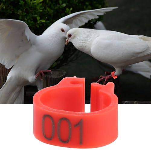 Chicken Leg Bands Duck Leg 100PCS Pigeon Bands Bird | 001 to 100 Numbered, Bird leg Bands, 8MM Diameter Pigeon Leg Ring, 5MM Height Reusable Marking Rings for Poultry (Red)