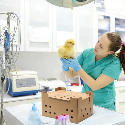 Feifeiya 10 Set Poultry Baby Chick Shipping Boxes with 10 Coconut Blankets Live Bird Shipping Boxes Cardboard Pet Carrier Hold 25 Chickens for Poultry, Pigeons, Canaries