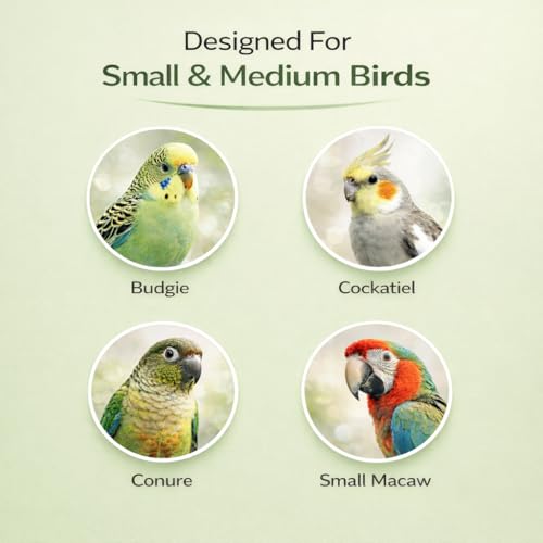 Parrot Bird Harness Leash Anti-bite Outdoor Flying Training Rope with 5pcs Different Sizes of Soft Foot Loops and Training Whistle(Upgraded Version of Ankle Ring)