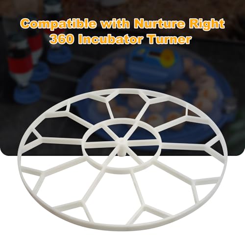 10 Egg Capacity Jumbo Goose Heavy Breeds Tray Compatible with Nurture Right 360 Incubator Turner, White JGT360